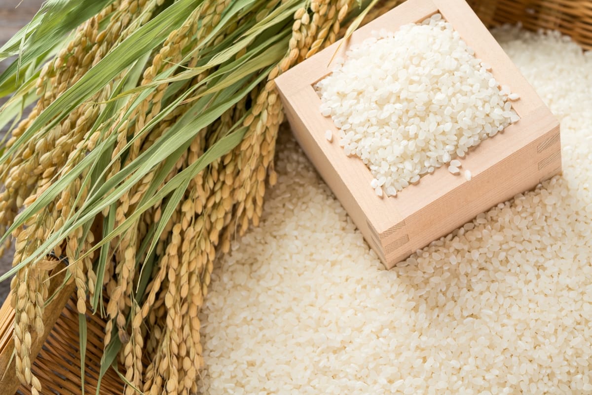 有限会社竹﨑農園